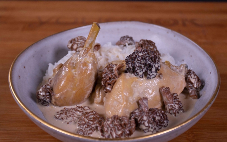 Farm Chicken in Morel Sauce gallery image 8