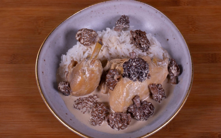 Farm Chicken in Morel Sauce gallery image 1